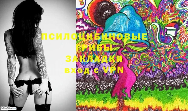 винт Армянск